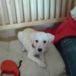V kav�rn� :-)